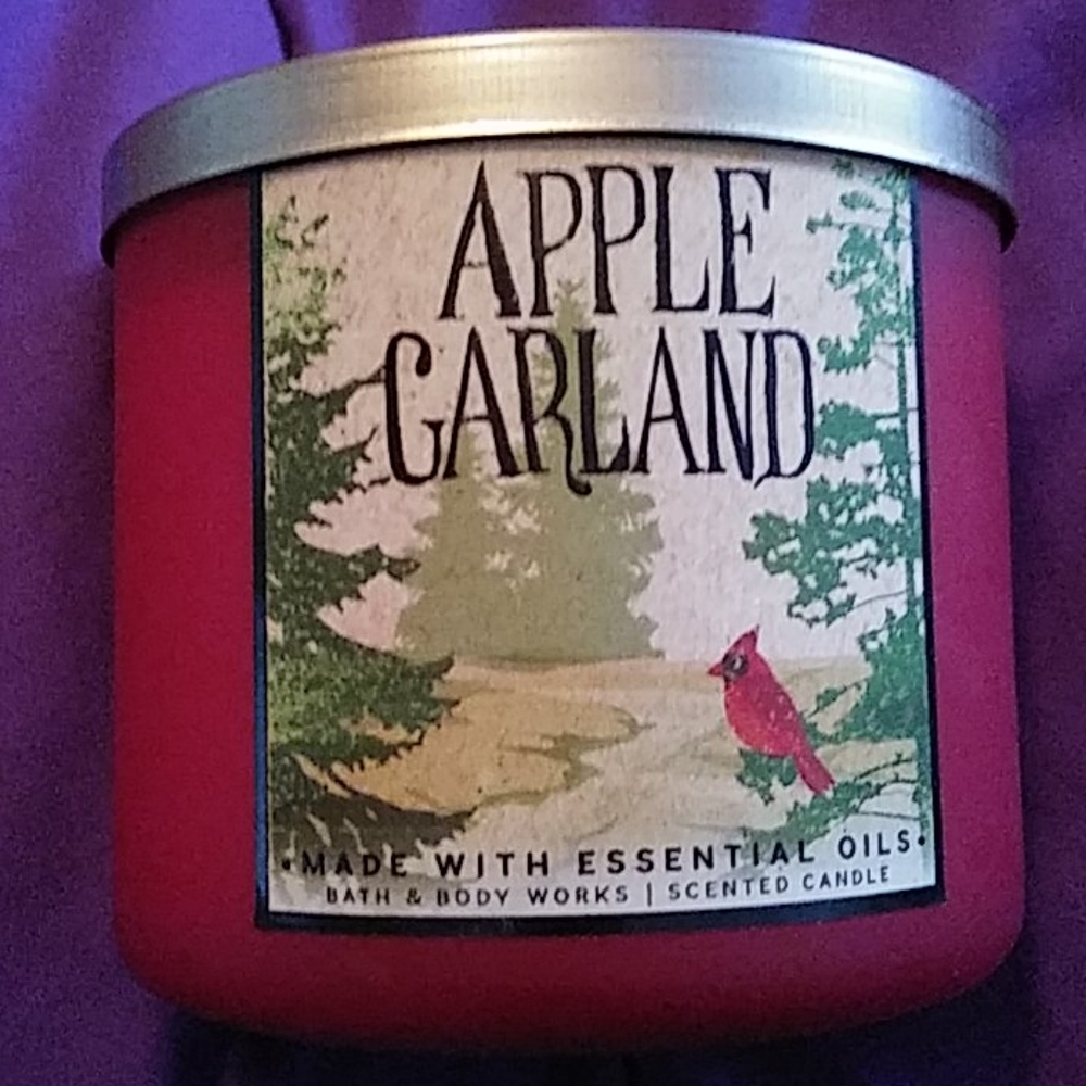 3 Wick Candle